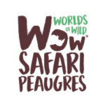 logo safari